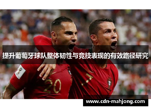 提升葡萄牙球队整体韧性与竞技表现的有效路径研究