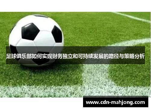 足球俱乐部如何实现财务独立和可持续发展的路径与策略分析