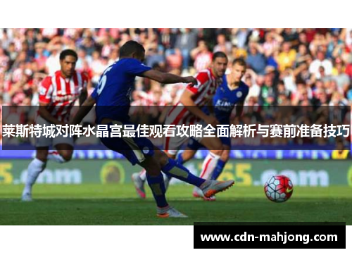莱斯特城对阵水晶宫最佳观看攻略全面解析与赛前准备技巧 莱斯特城对阵水晶宫最佳观看攻略全面解析与赛前准备技巧