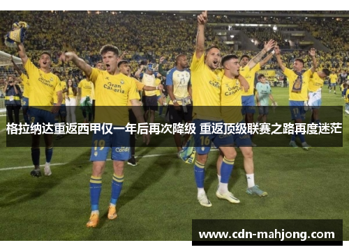 格拉纳达重返西甲仅一年后再次降级 重返顶级联赛之路再度迷茫 格拉纳达重返西甲仅一年后再次降级 重返顶级联赛之路再度迷茫