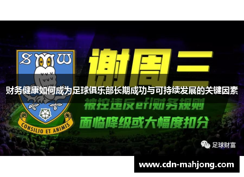 财务健康如何成为足球俱乐部长期成功与可持续发展的关键因素