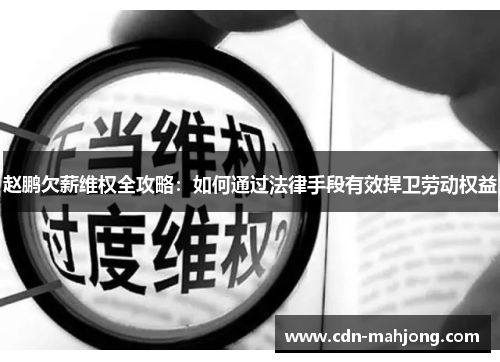 赵鹏欠薪维权全攻略：如何通过法律手段有效捍卫劳动权益