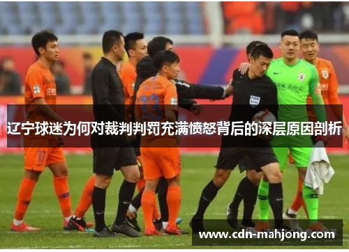 辽宁球迷为何对裁判判罚充满愤怒背后的深层原因剖析