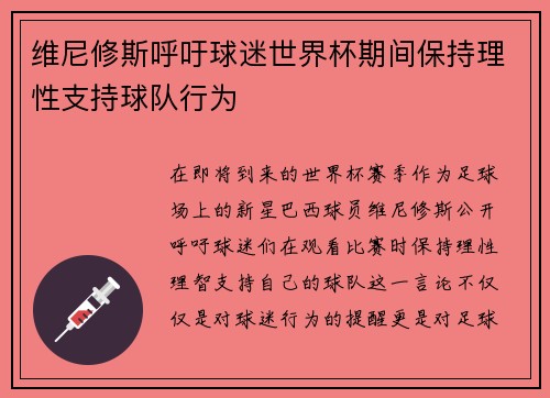 维尼修斯呼吁球迷世界杯期间保持理性支持球队行为
